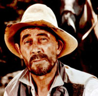 Festus